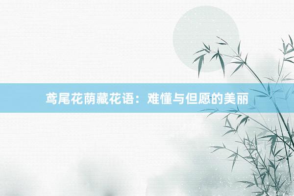 鸢尾花荫藏花语:难懂与但愿的美丽